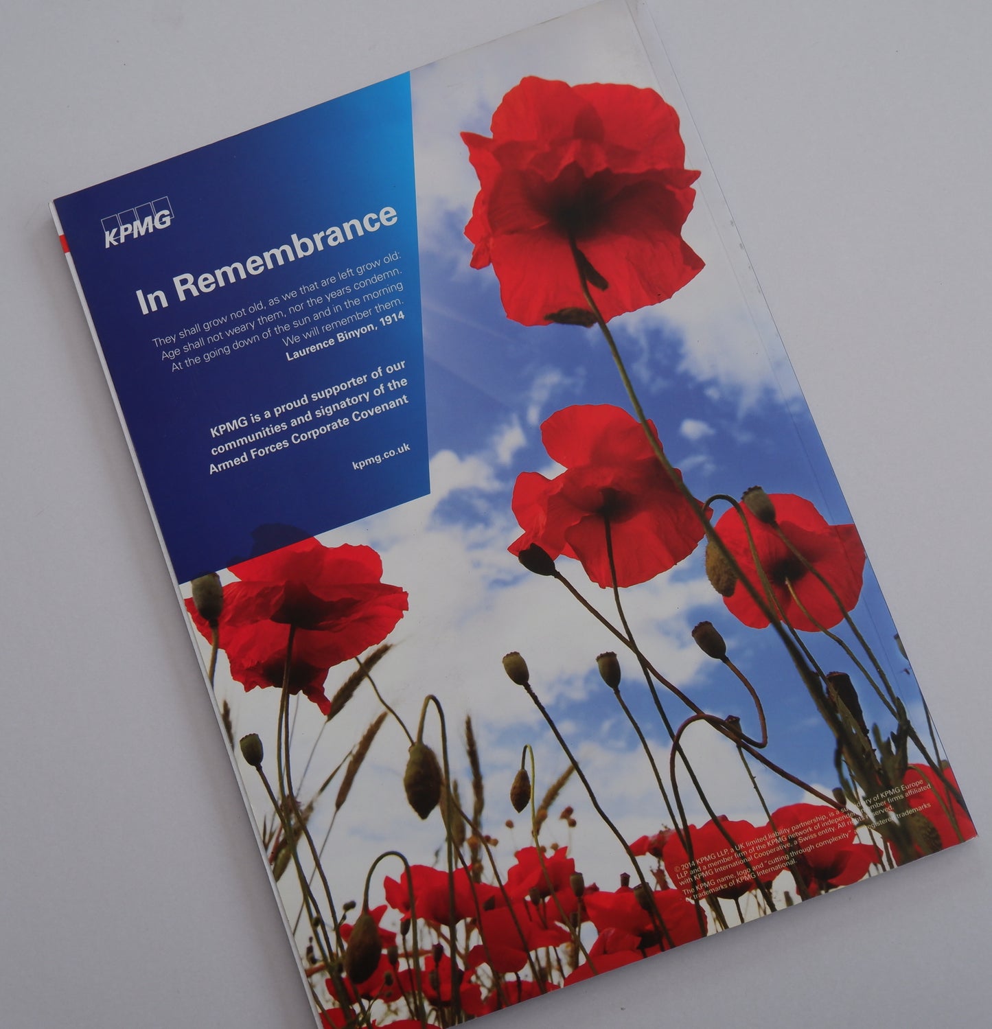 THE GREAT WAR 1914-1918 SSAFA'S OFFICIAL GUIDE TO WORLD WAR 1