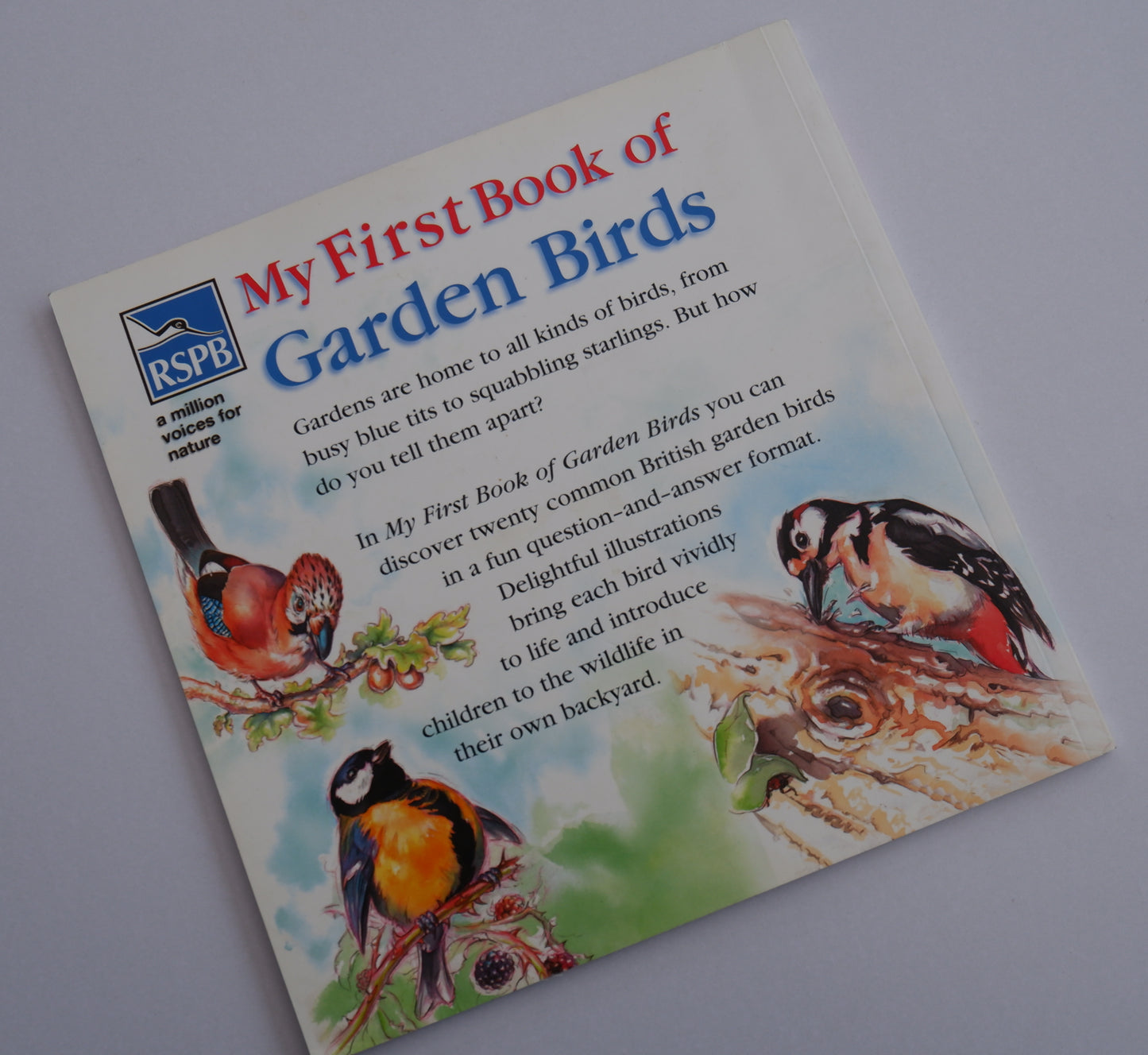 RSPB - My First Book of Garden Birds - Rachel Lockwood