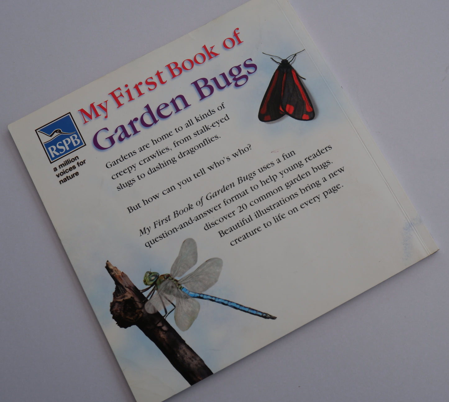 RSPB My First Book of Garden Bugs - Mike Unwin