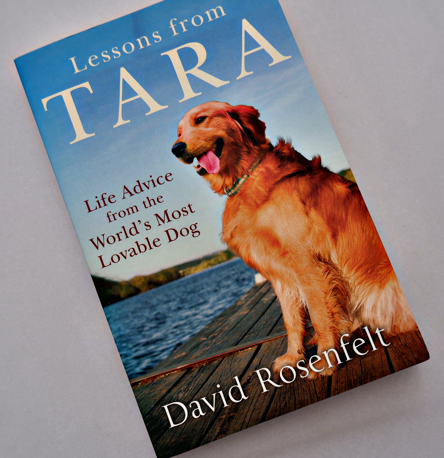 Lessons from Tara: Life Advice from the World's Most Brilliant Dog - David Rosenfelt