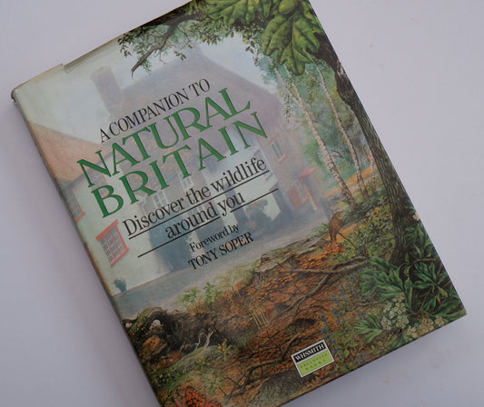 A Companion to Natural Britain: Discover the wildlife around you